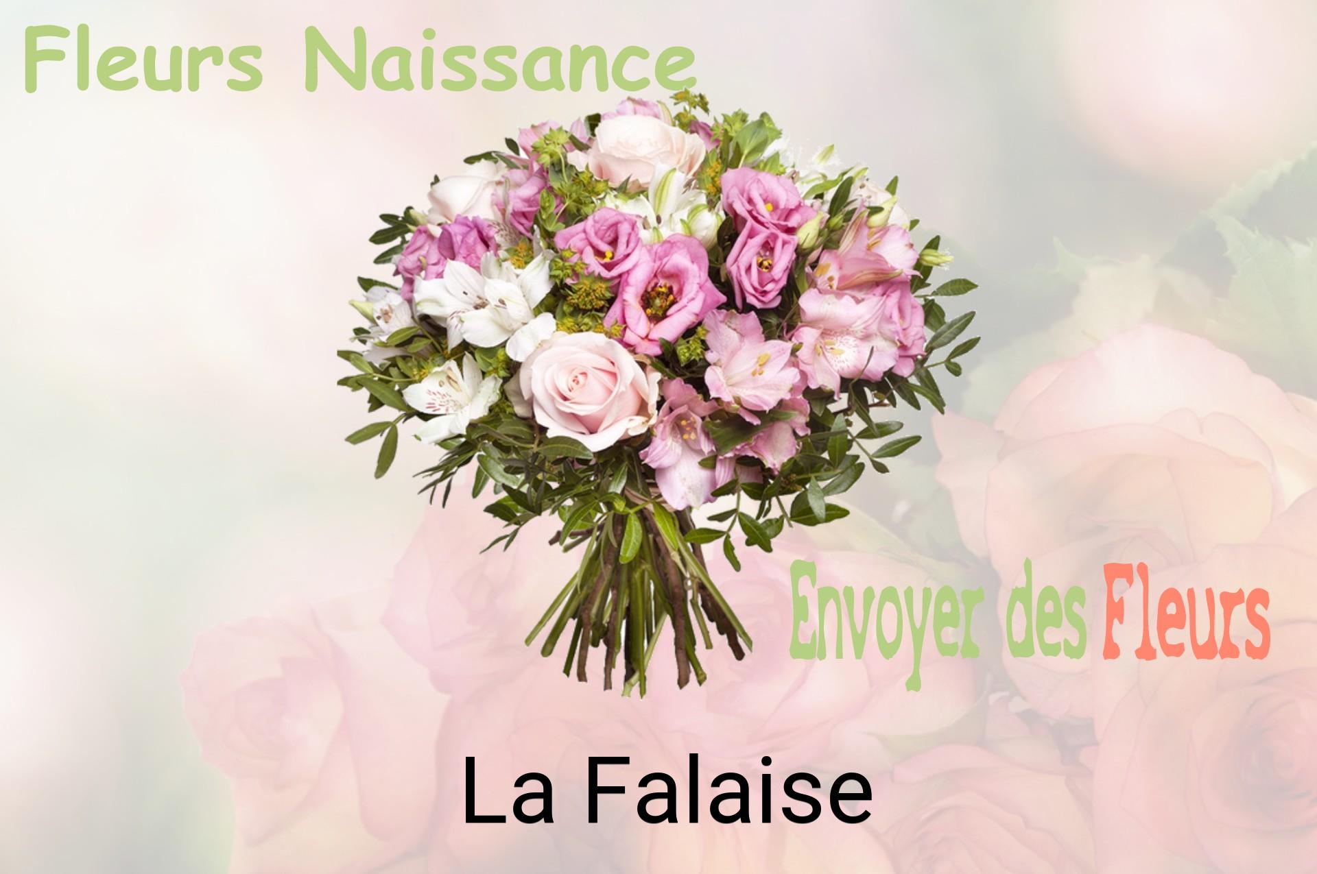 Bouquet de fleurs de naissance livré à La Falaise