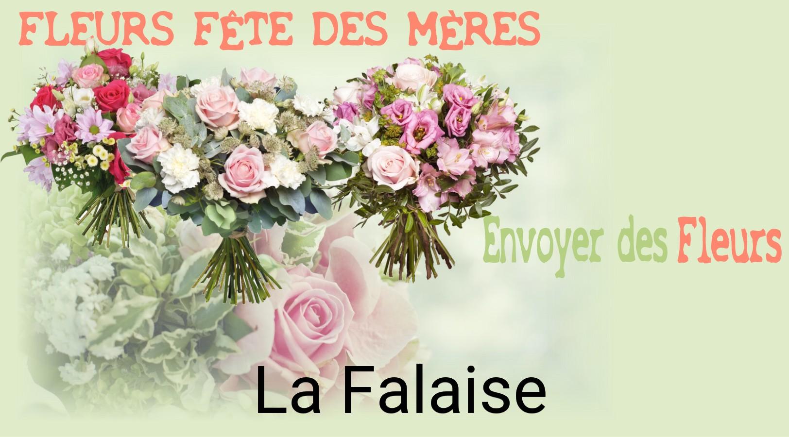 Bouquet de Fête des Mères livré à La Falaise